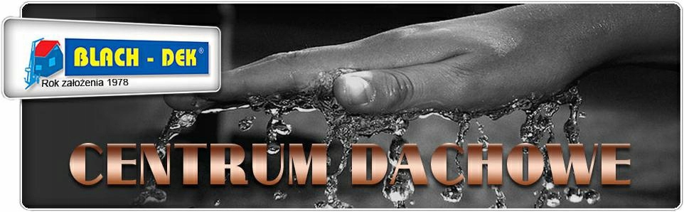 Gwoździe papowe ocynk 25mm papiaki gwóźdź do papy Kod producenta Q385