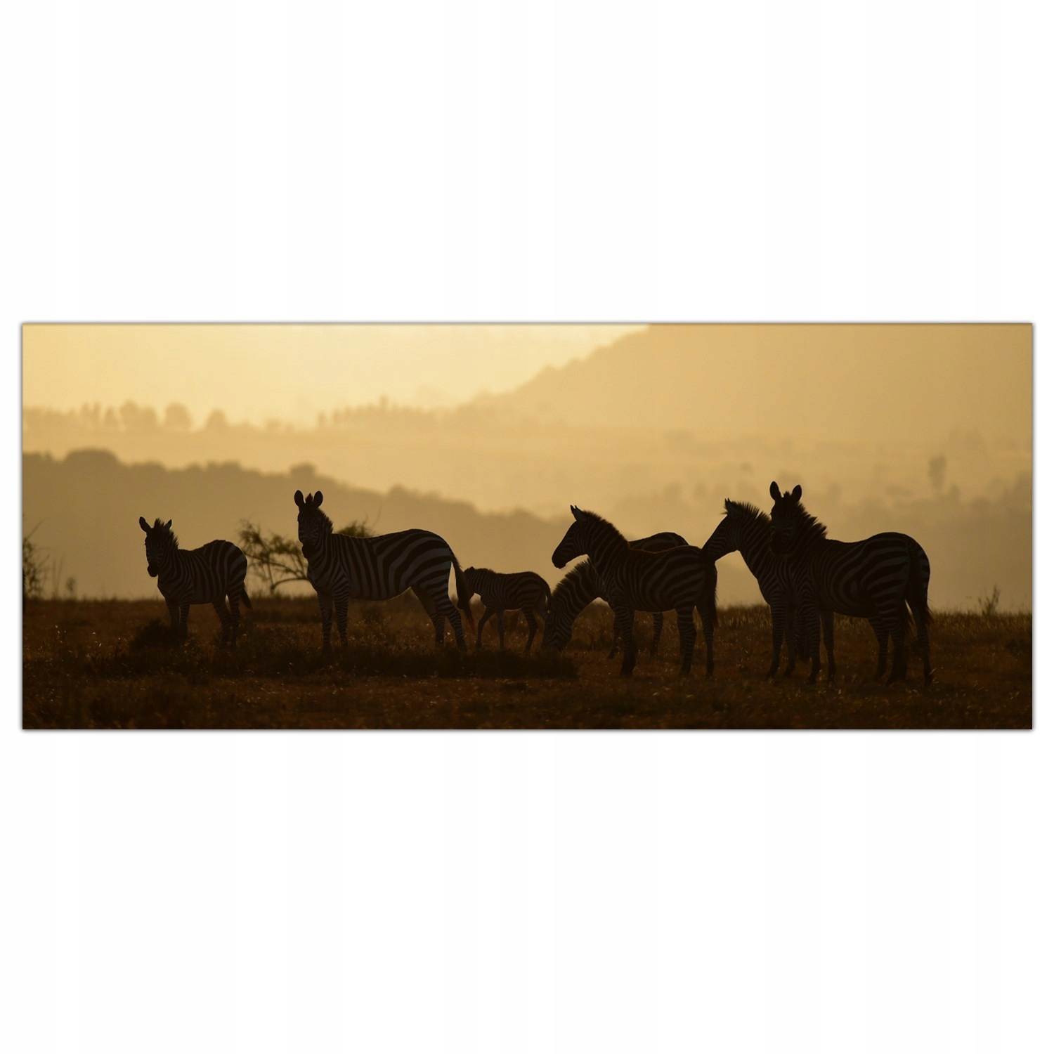 

Obraz na szkle Foto Zebry Afryka Zwierzęta 125x50