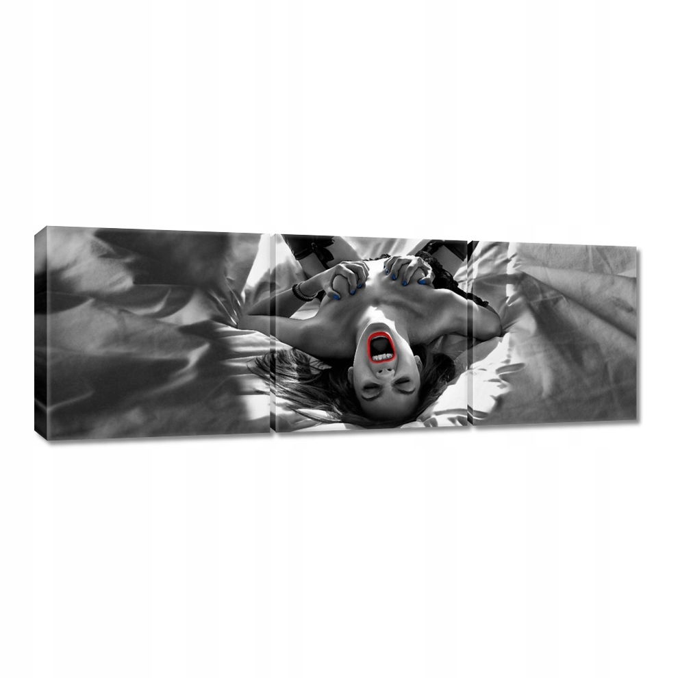 

Obrazy 120x40 Laska w sypialni