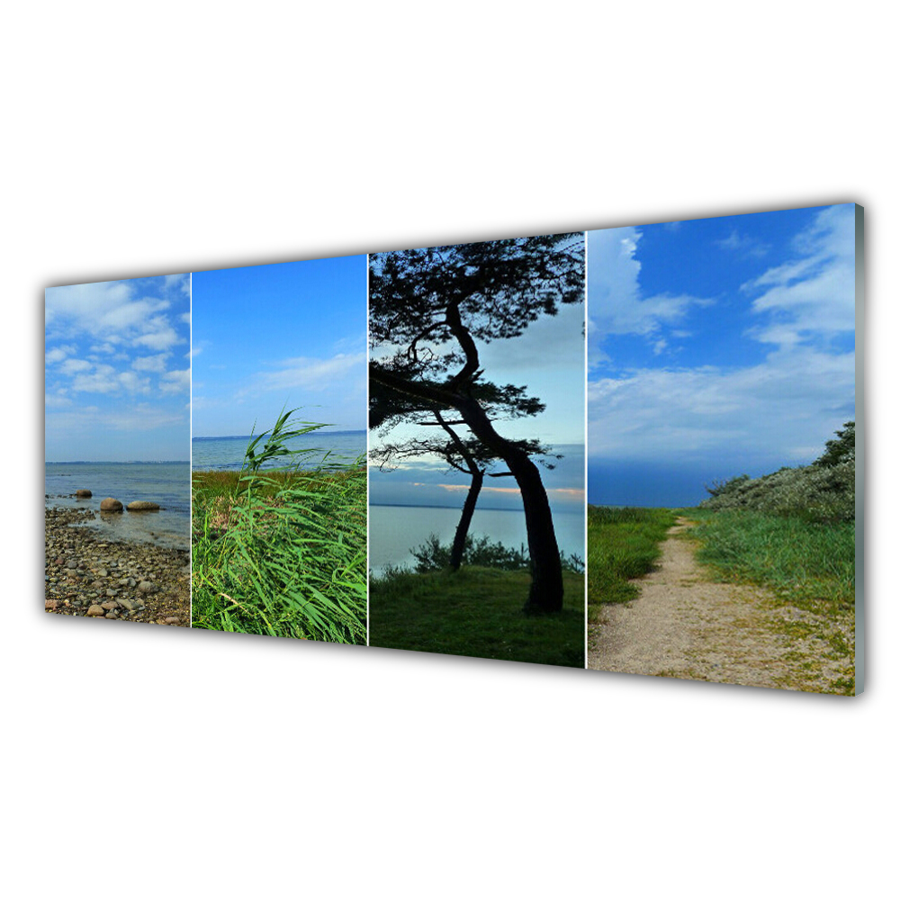 

Fotoobraz na prezent 125x50 Plaża Drzewo Krajobraz