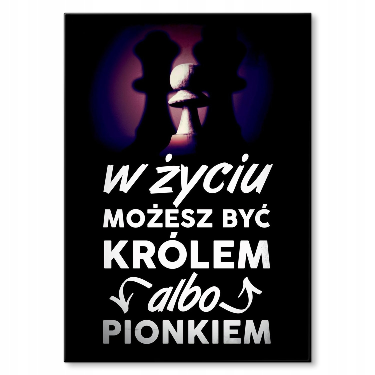 Kovový plakát Můžeš být králem Dárek 22 x 31 cm