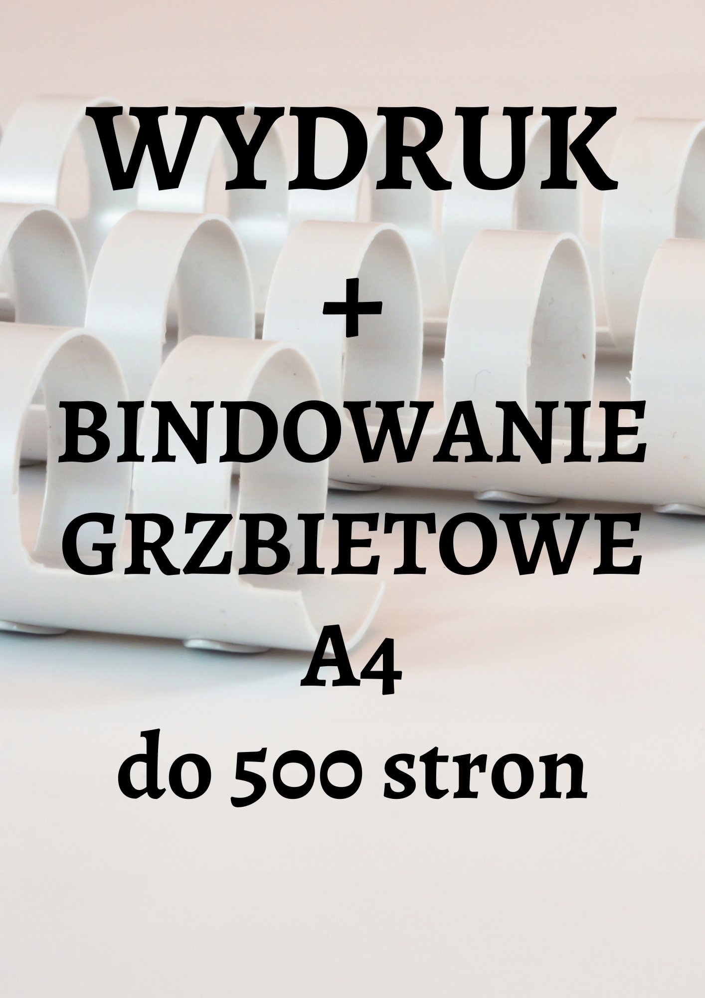 

Druk czarno-biały A4 do 500str bindowanie