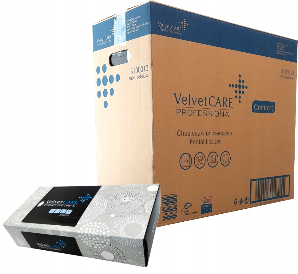 Chusteczki Higieniczne Velvet Karton 40 paczek po 100 sztuk