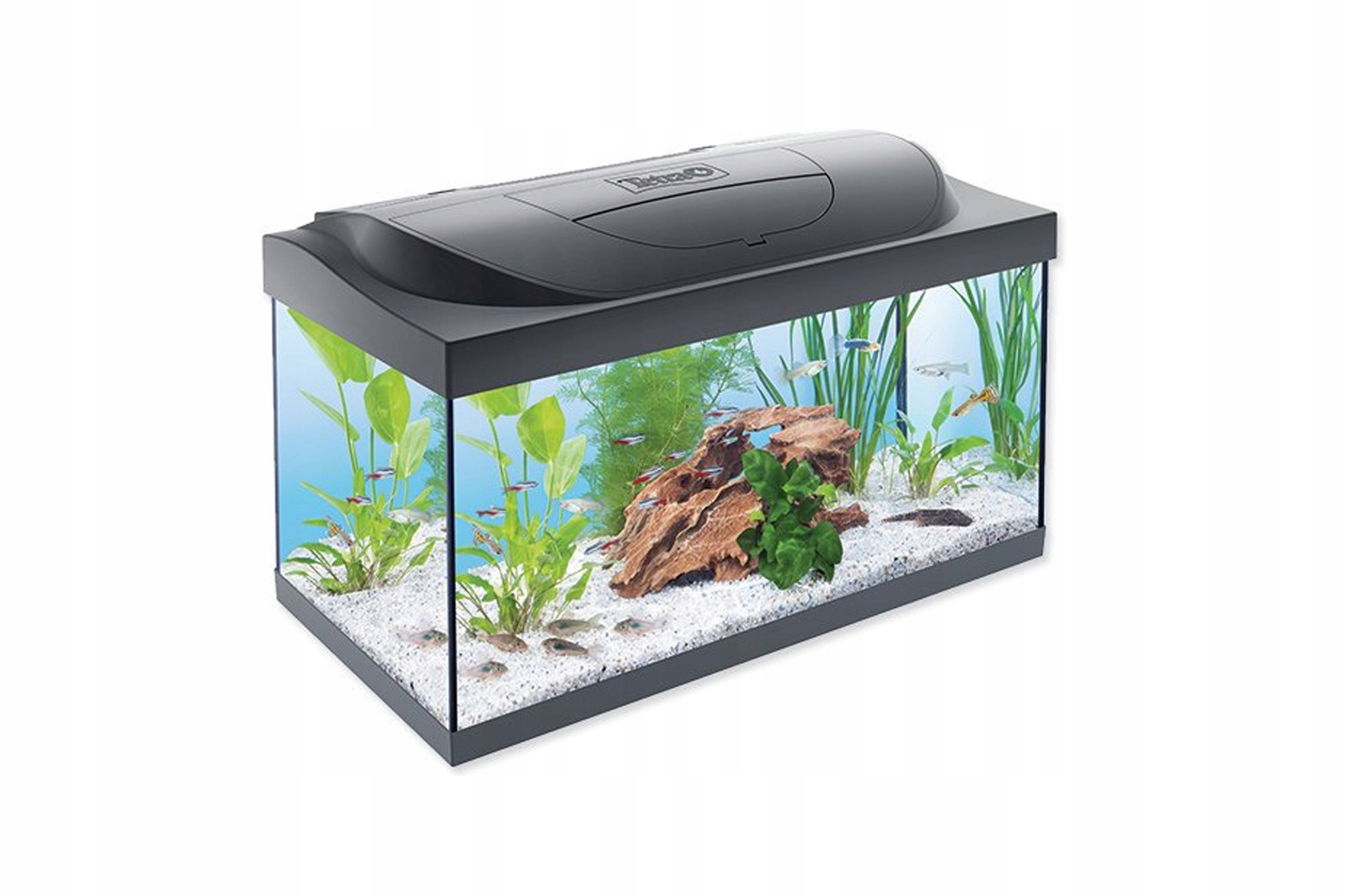 Tetra Starter Line Led akvárium 54L Sada filtrů EasyCrystal Ohřívač 50W