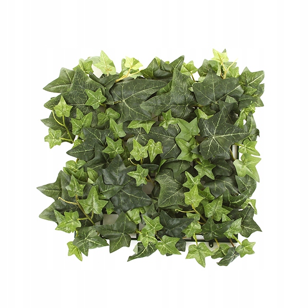 

Bluszcz mata 30x30 cm sztuczne zielone ściany maty