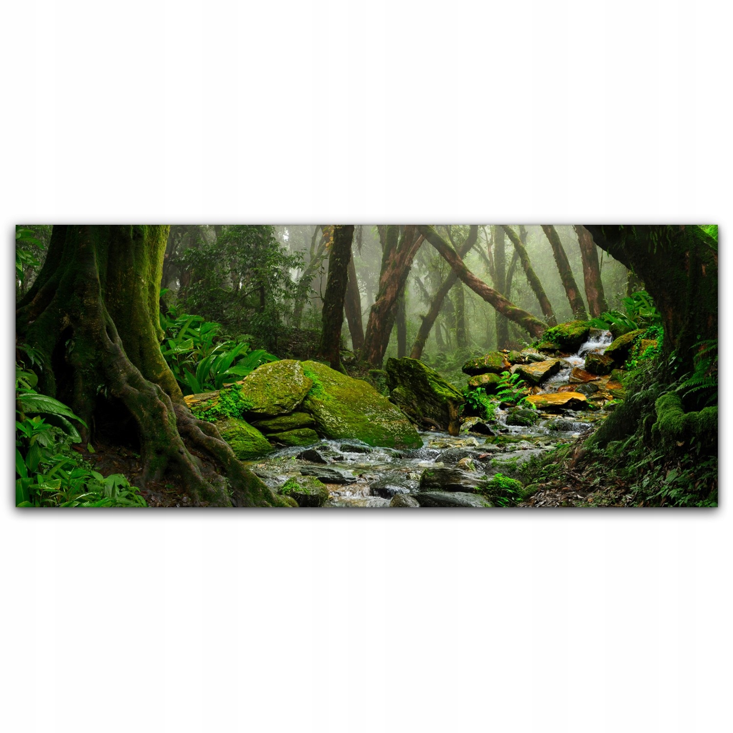

Obraz płótno canvas 125x50 Las Deszczowy Tropiki