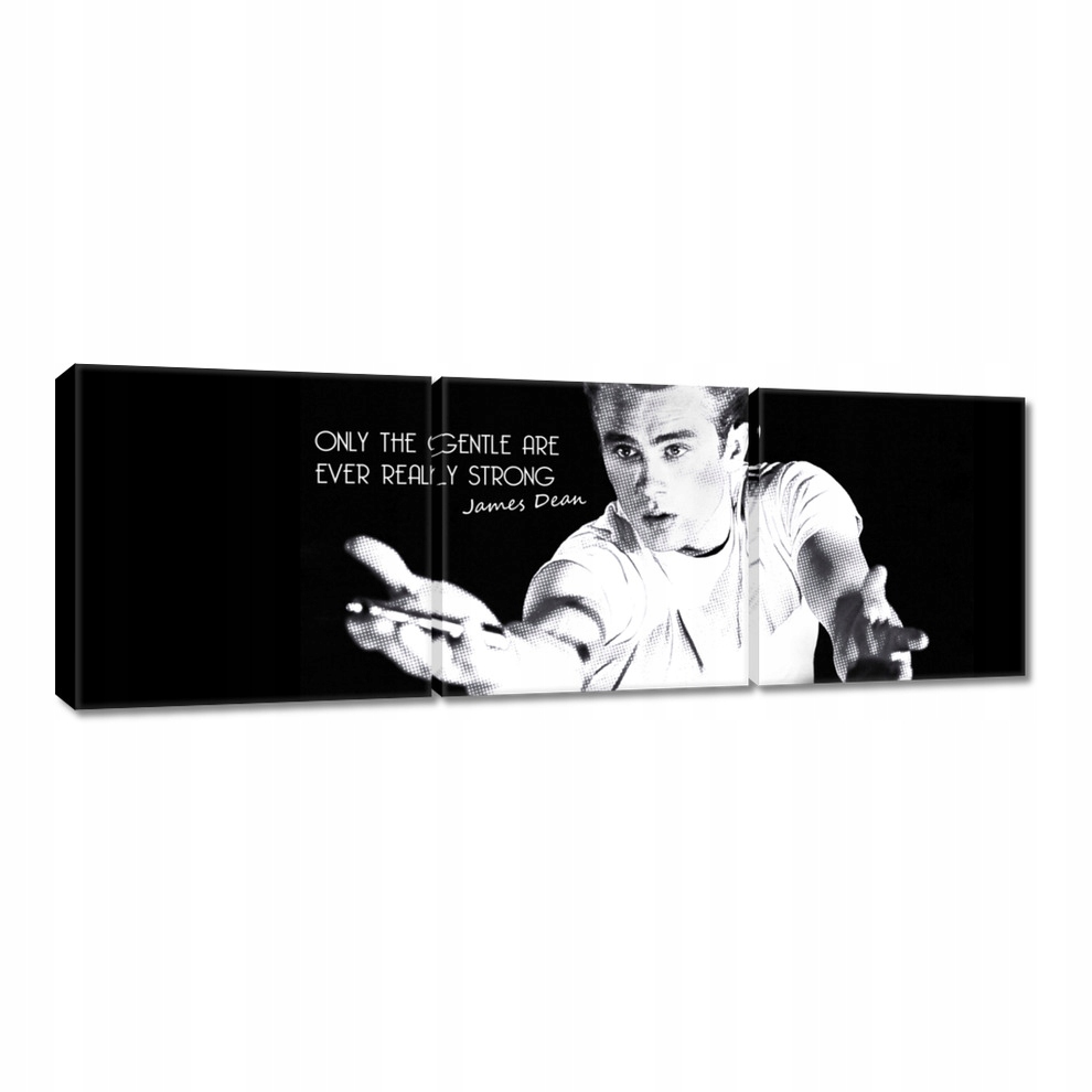 

Obrazy 60x20 James Dean