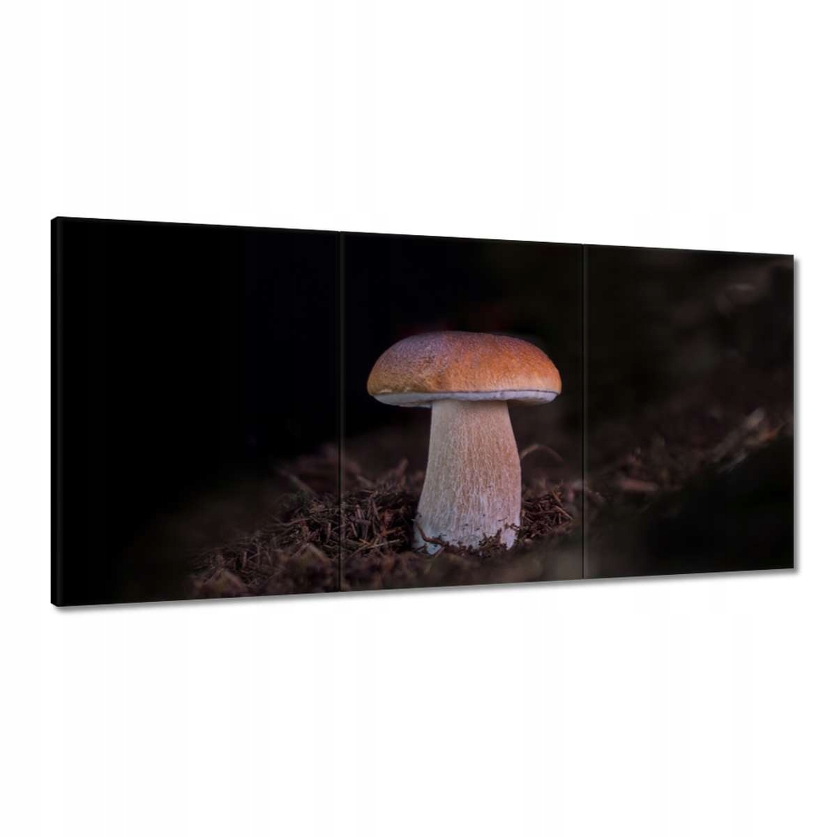 Obrazy 180x90 Pravdičiek Kráľ húb