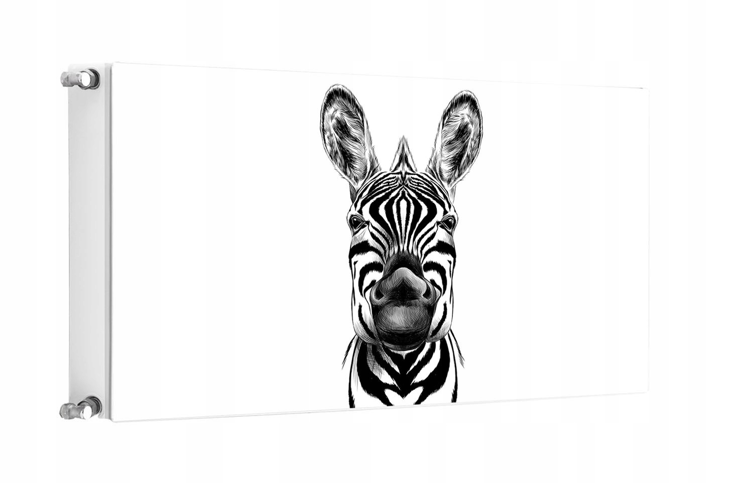 Magnet Magnetická Podložka Na Radiátor 100x60 Zebra Fototapeta