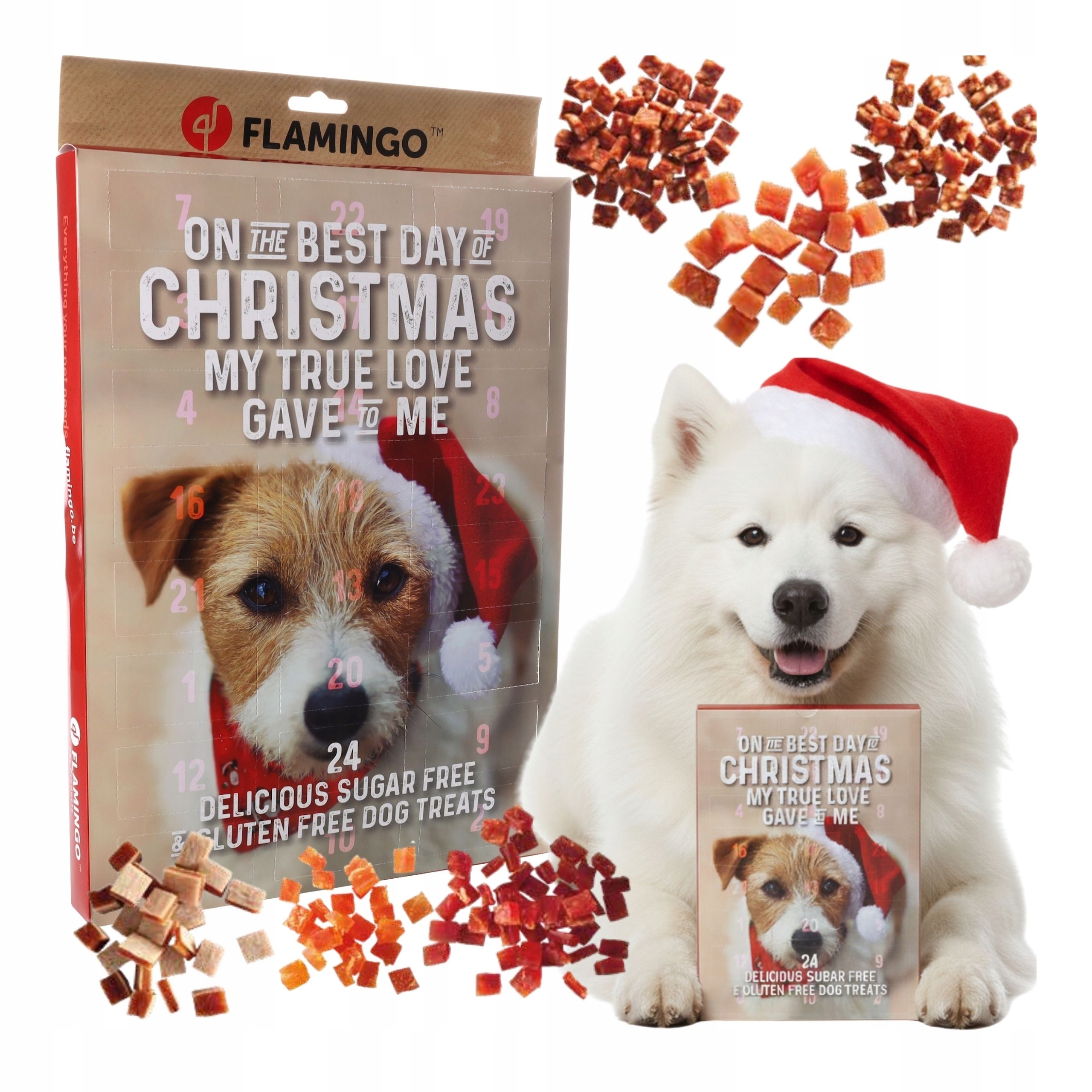 Levně Adventní Kalendář pro psa s pamlsky pro každý den, ideální na Vánoce
