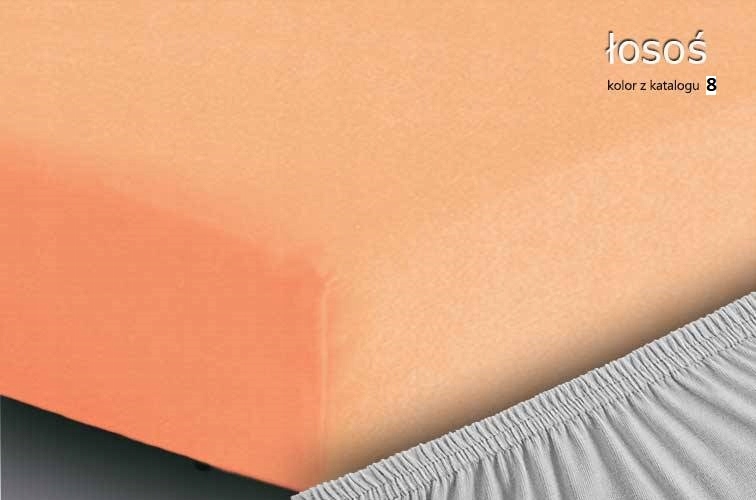 Froté prostěradlo Premium s gumičkou 160x200 Morel