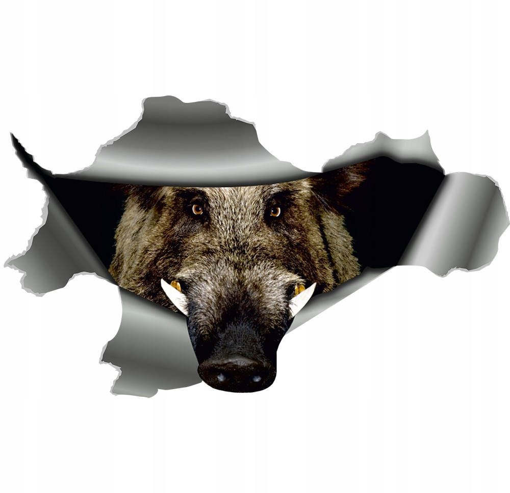 

Naklejka na samochód Dzik Guziec 3D 16x26cm