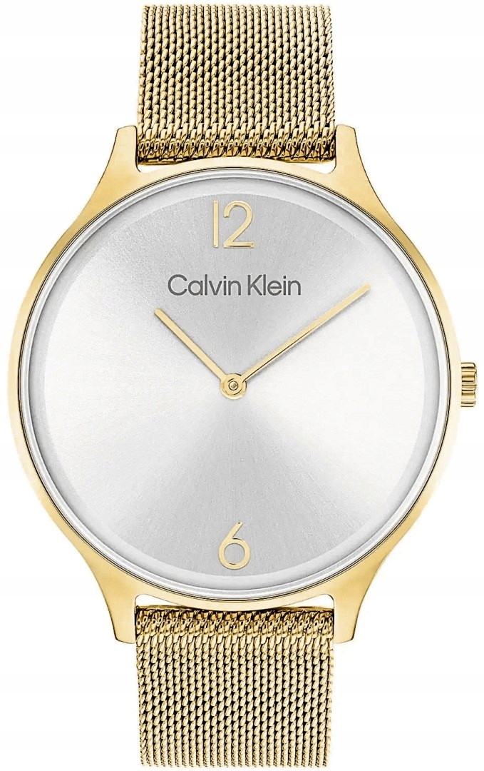 Dámské hodinky Calvin Klein Timeless Mesh 25200003 Box