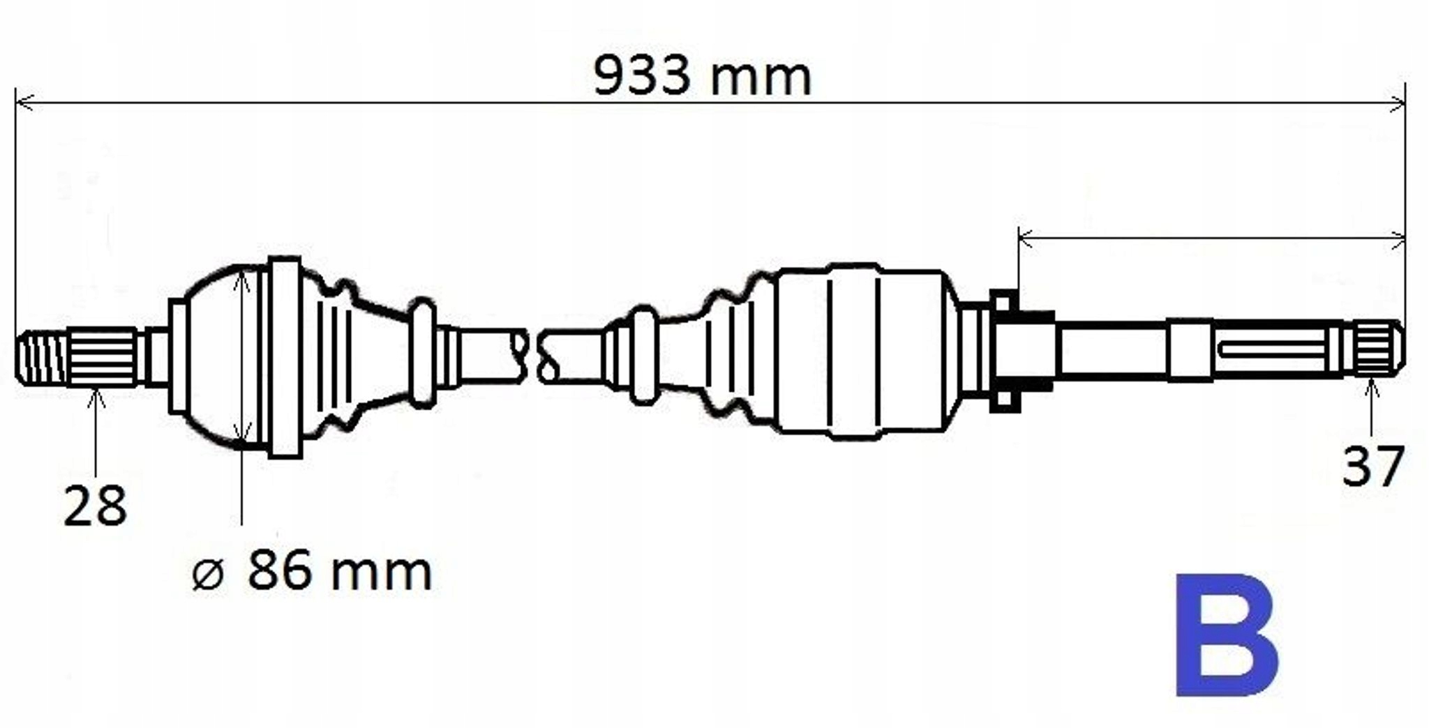 Poloosa Nap.c C4 Cactus,p 508 Pravá T6195