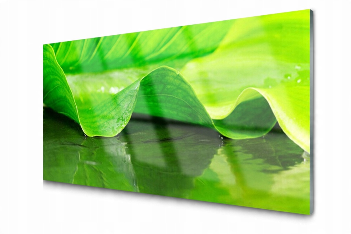 

Panel szklany dekoracyjny Liść Roślina 100x50