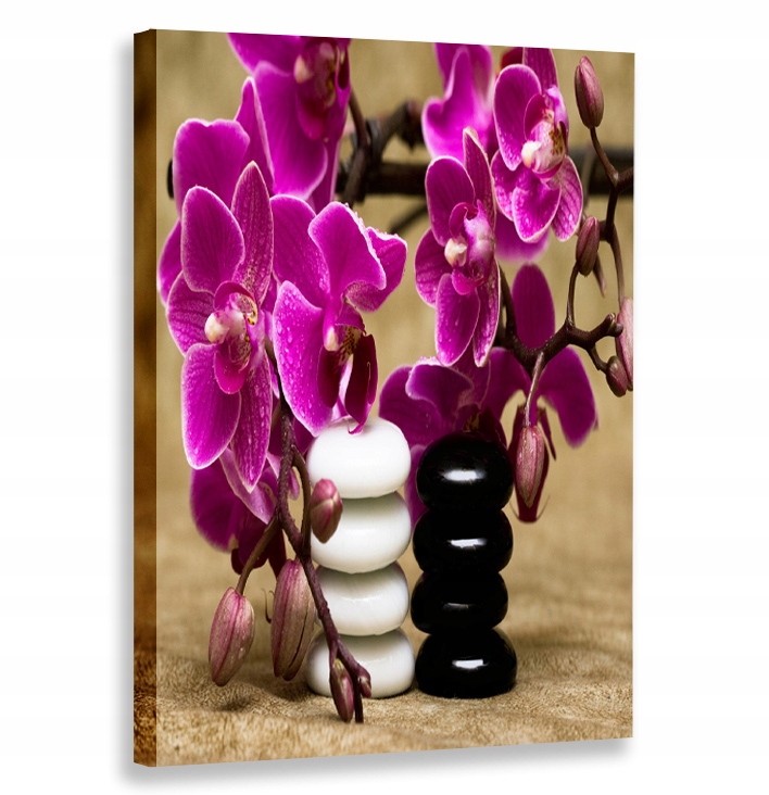 OBRAZ PIONOWY STORCZYKI KAMYKI 30x40 W PIONIE