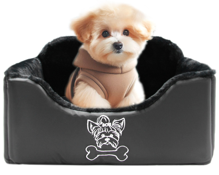 Levně Autosedačka pro psa maltipoo york maltézák špice miniaturní