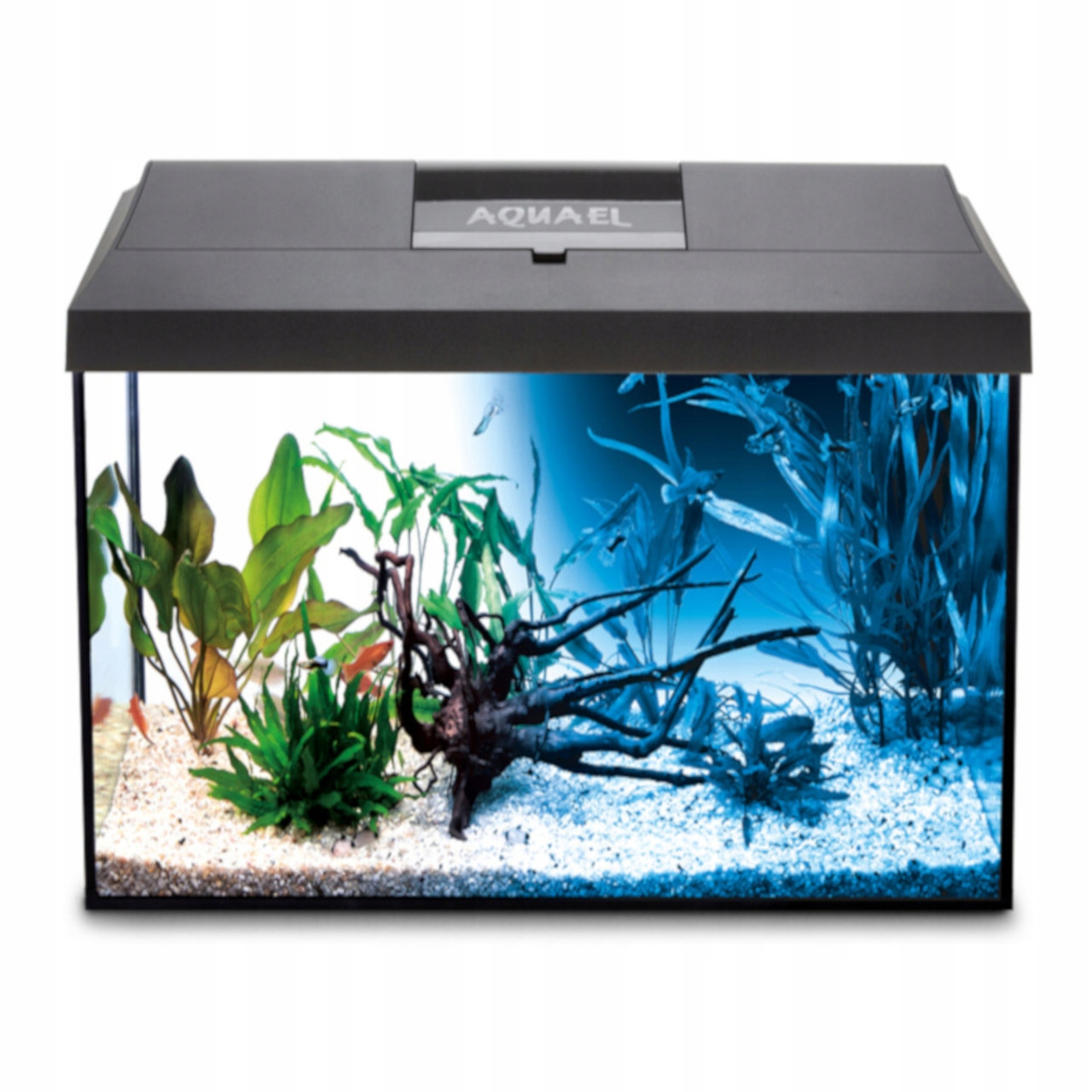 AKWARIUM 35L 40x25x35cm LED DZIEŃ/NOC LEDDY PAP+ 4 gratisy + Antyglon
