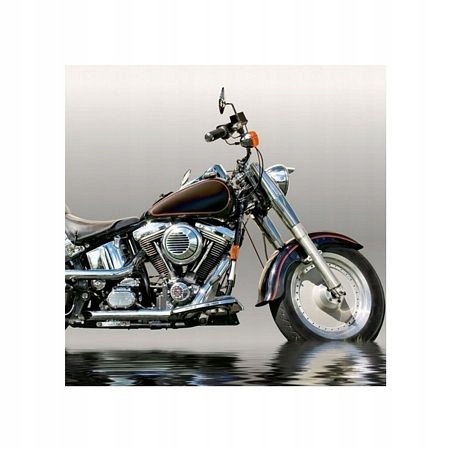 

Reprodukcja dla niego Czarny Motocykl 40x40 cm