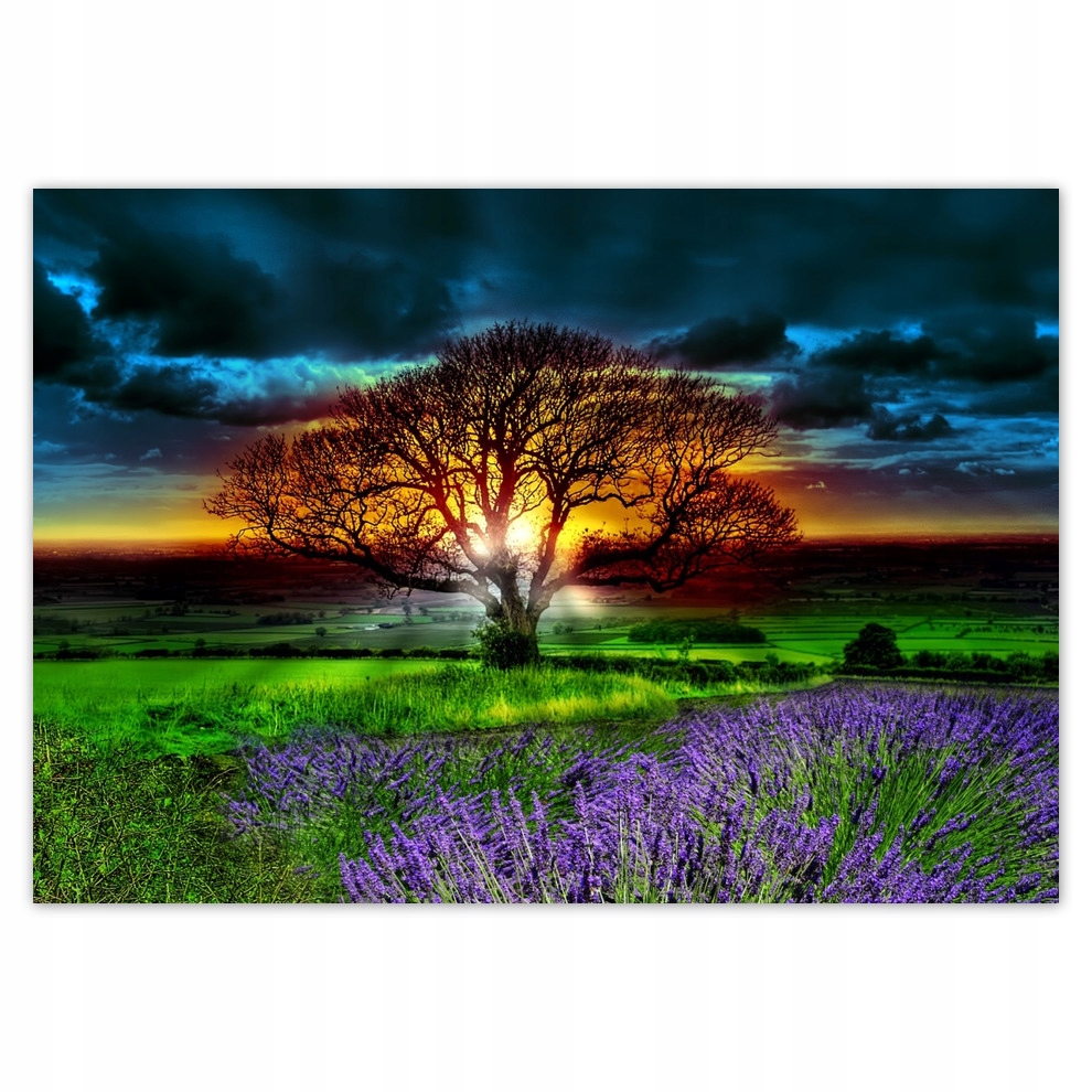 

Fototapety flizelina 416x290 Drzewo życia