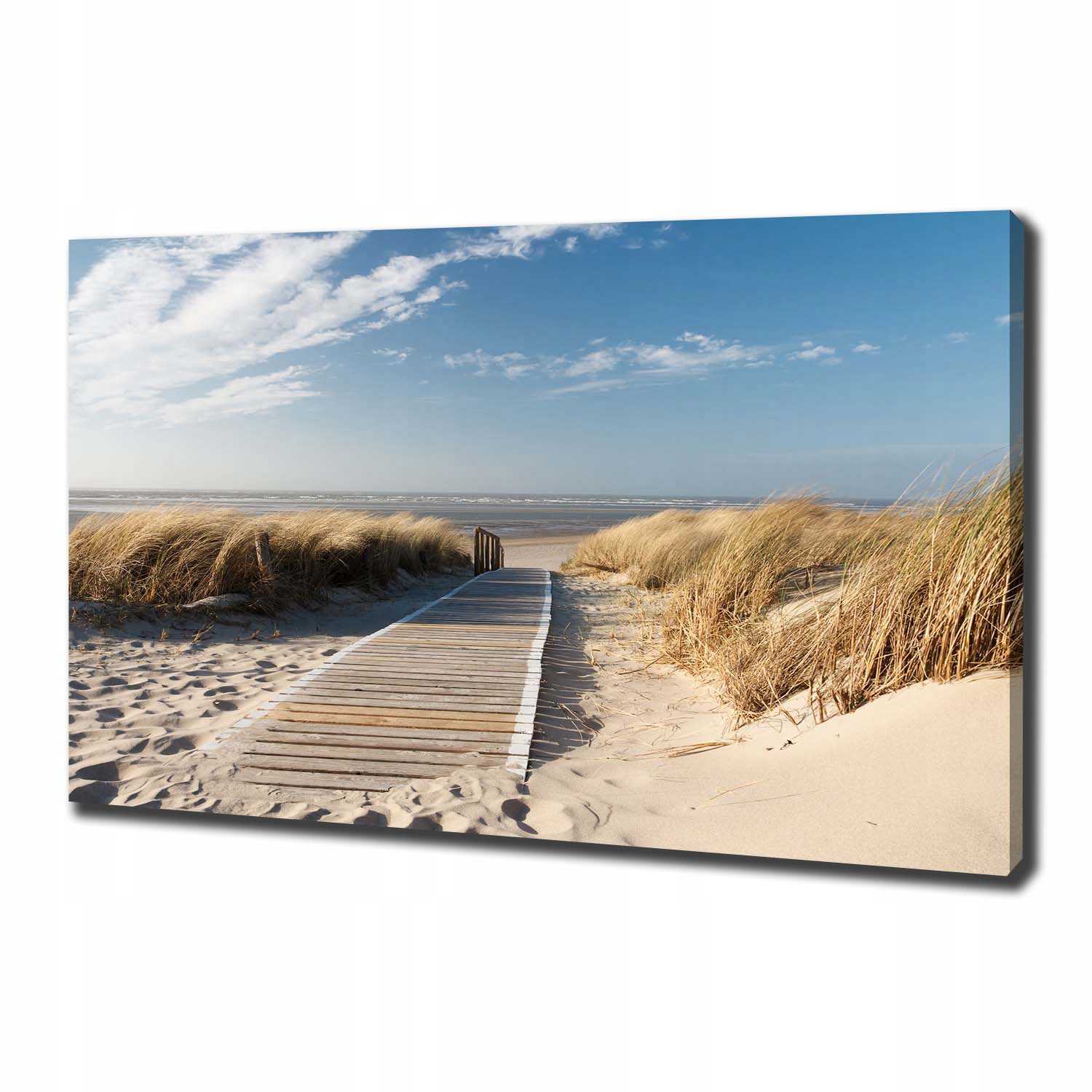 

Foto obraz na płótnie Ścieżka na plaży 100x70 cm