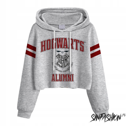 Mikina Heroes Inc Harry Potter Hogwarts Alumni vel. L Licence