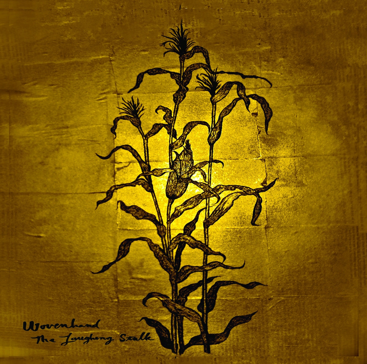 CD Wovenhand The Laughing Stalk