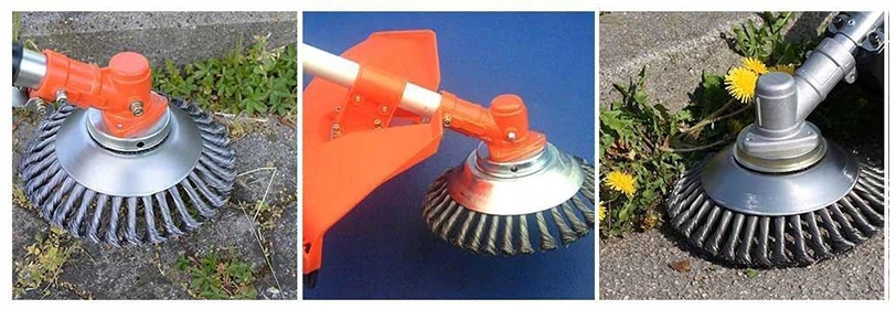 DRUCIAK TARCZA SZCZOTKA DRUCIANA DO KOSY CHWASTY EAN (GTIN) 5907580156422