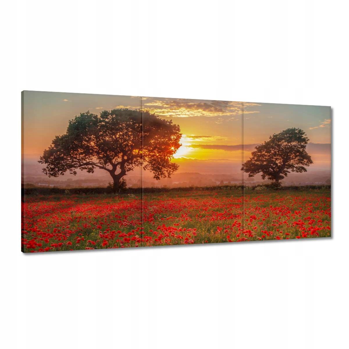 Obrazy 180x90 Maky na poli Krajina