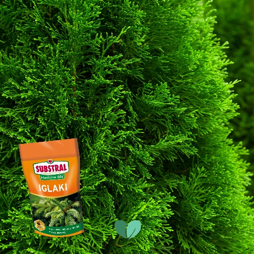 Magiczna Siła Nawóz Do Iglaków 350g Substral Forma proszek