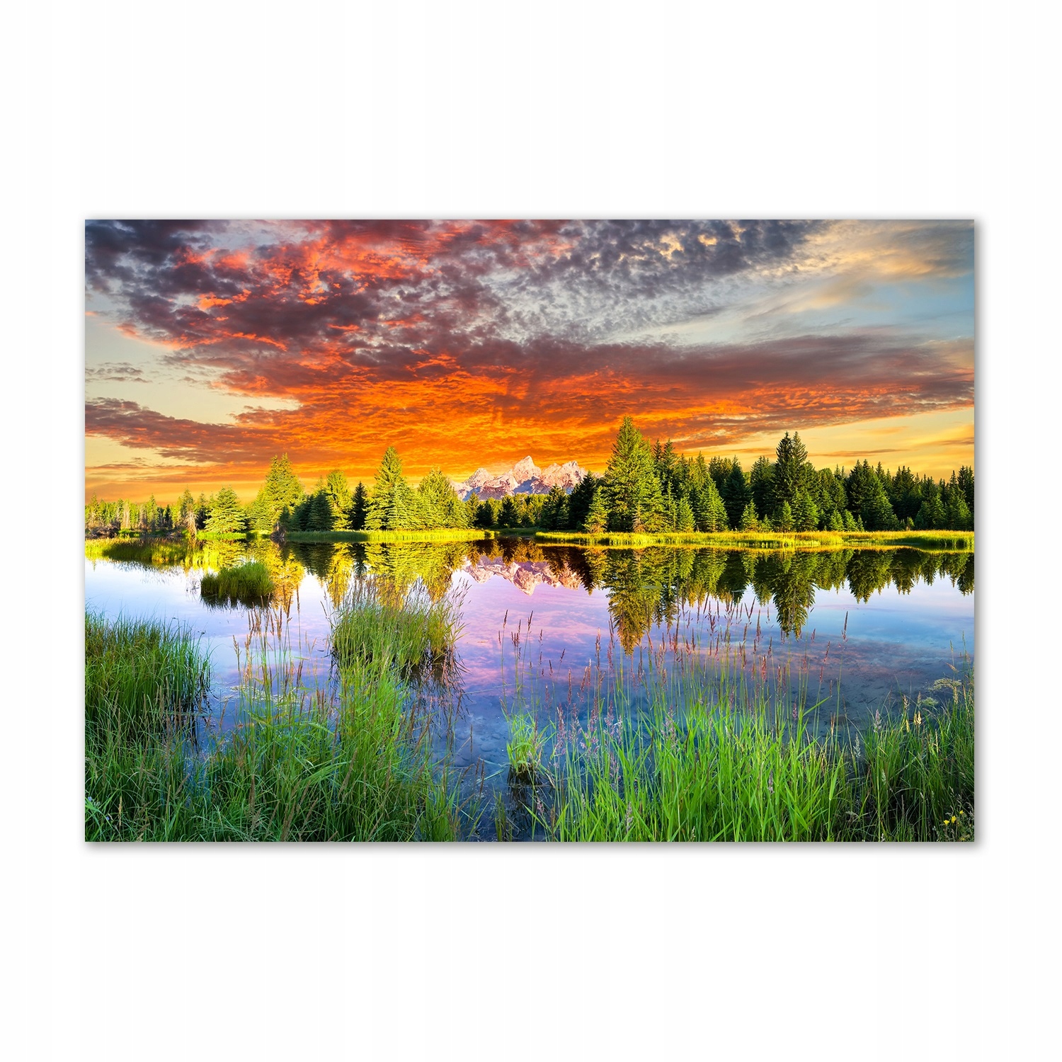 

Foto obraz szkło hartowane Rzeka w lesie 100x70