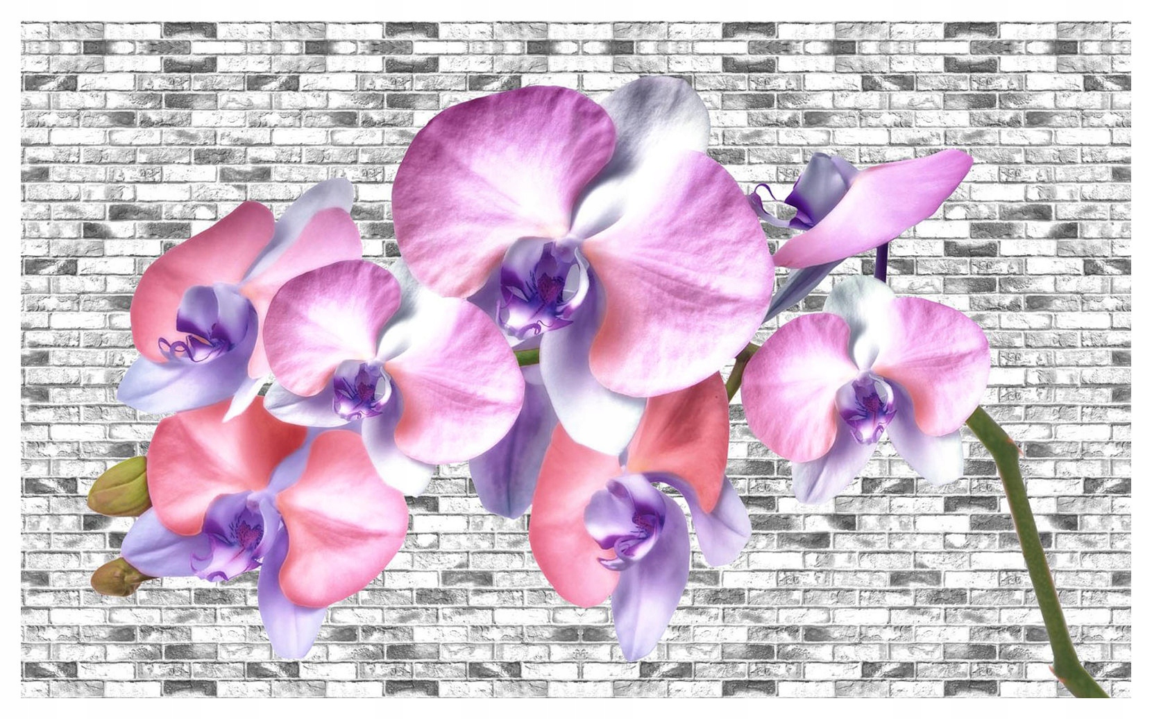 Vliesová fototapeta Orchidea na tehlovej stene s kvetmi 368x254 lepidlo