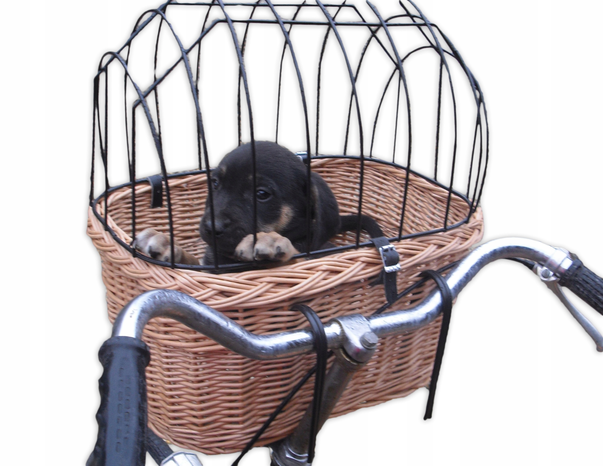 Kosz wiklinowy na rower Transporter dla Psa-kota do 6kg