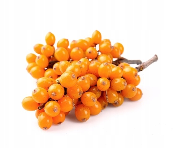 Equiherbs Zioła dla koni Rokitnik cały owoc, suszony, worek strunowy 1 kg