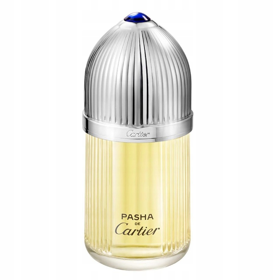 Cartier Pasha de Cartier toaletní voda sprej 100 ml