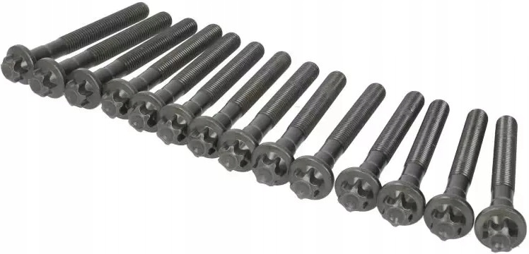 ELRING КОМПЛЕКТ SRUB ГОЛОВКИ 760.110