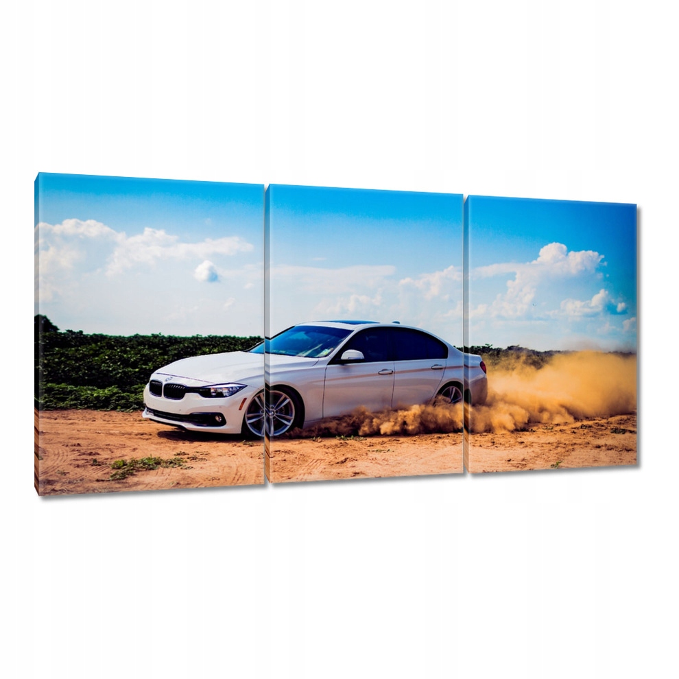 

Obrazy 120x60 Drift Bmw