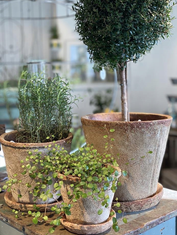 DONICZKA TERRAKOTA12,5x14 OSŁONKA Z PODSTAWKĄ Marka inna