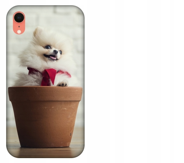 

Etui pokrowiec iPhone Xr Pies pomeranian szczeniak