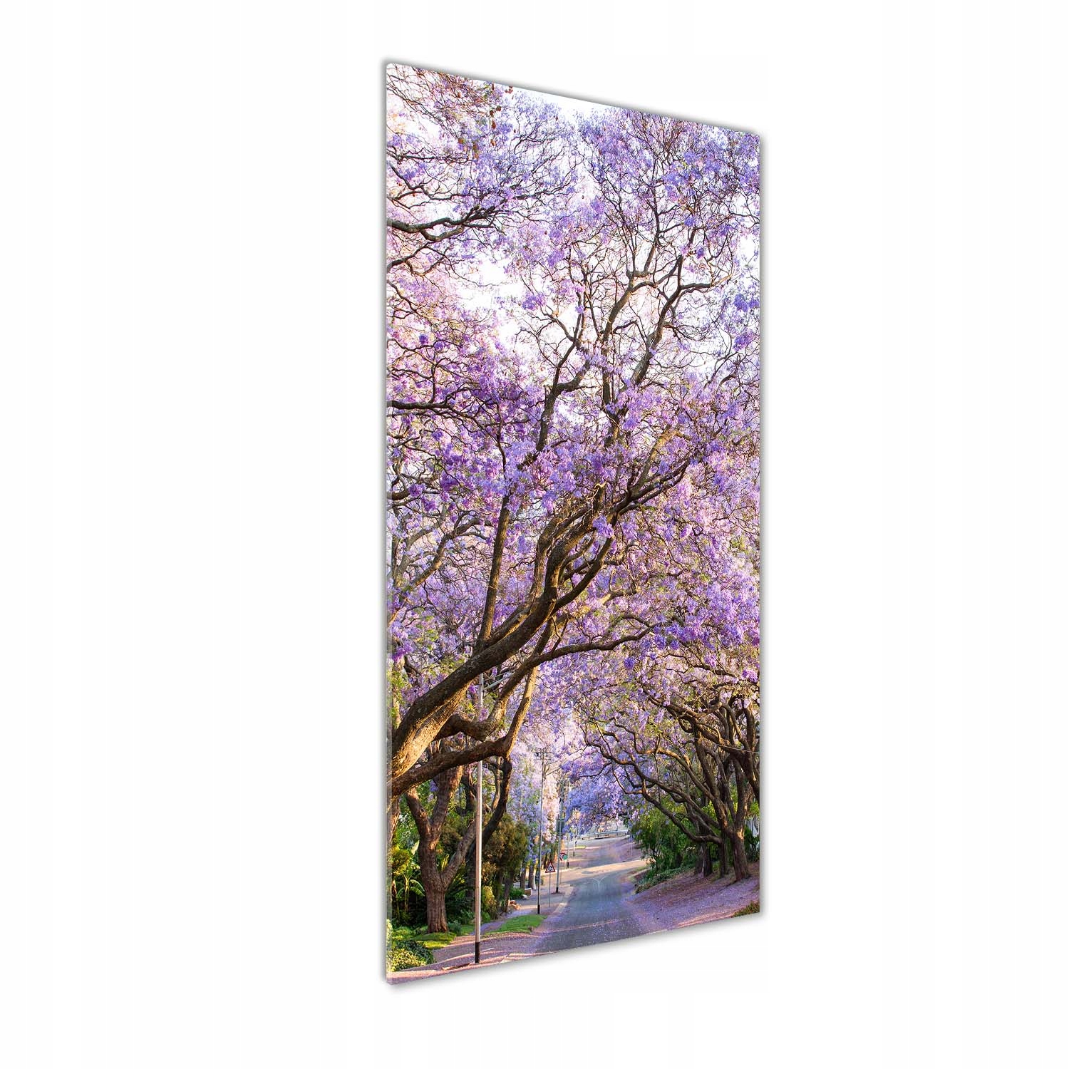 

Foto obraz na szkle Ścieżka jakaranda 50x125 cm