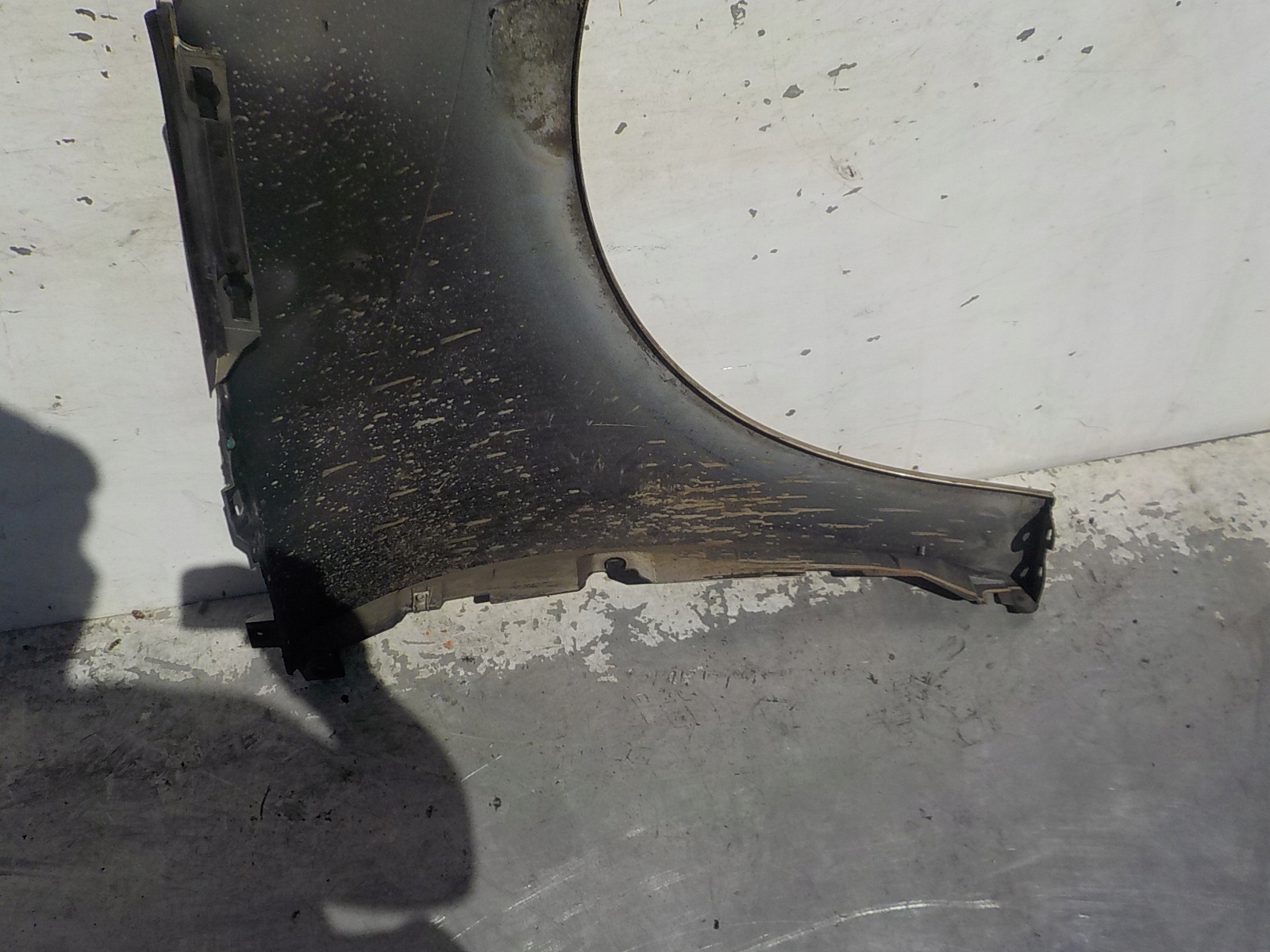 440 RENAULT SCENIC III fender left front front