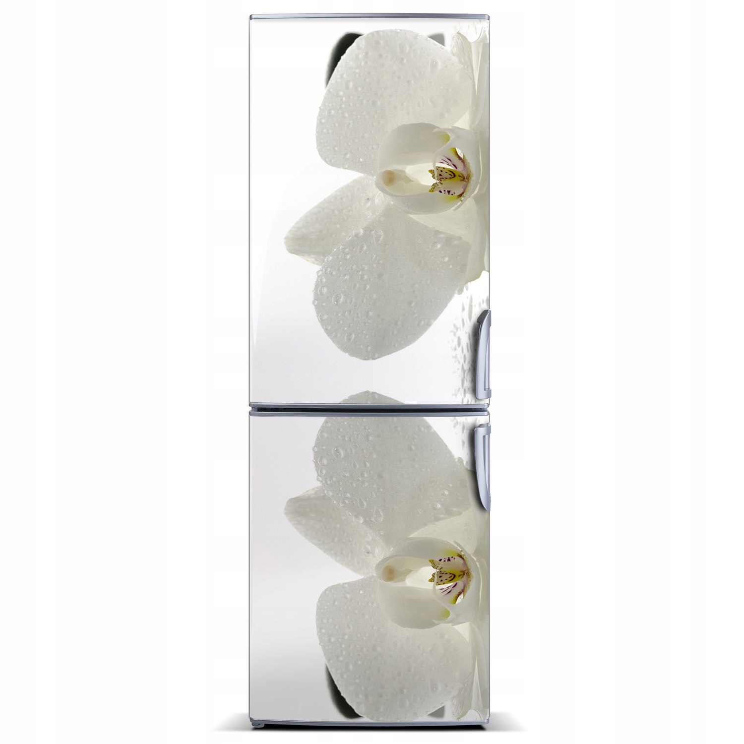 

Naklejka Magnes Magnes Orchidea i 60x180
