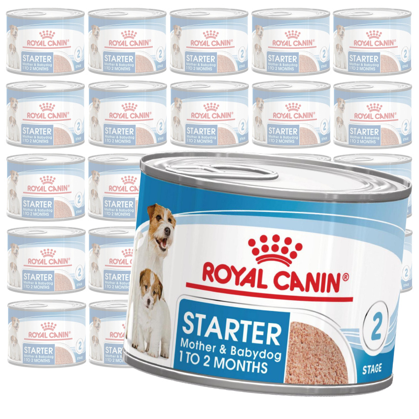 Royal Canin Starter Mousse Mother & Babydog 24x195g Karma Mokra Mus