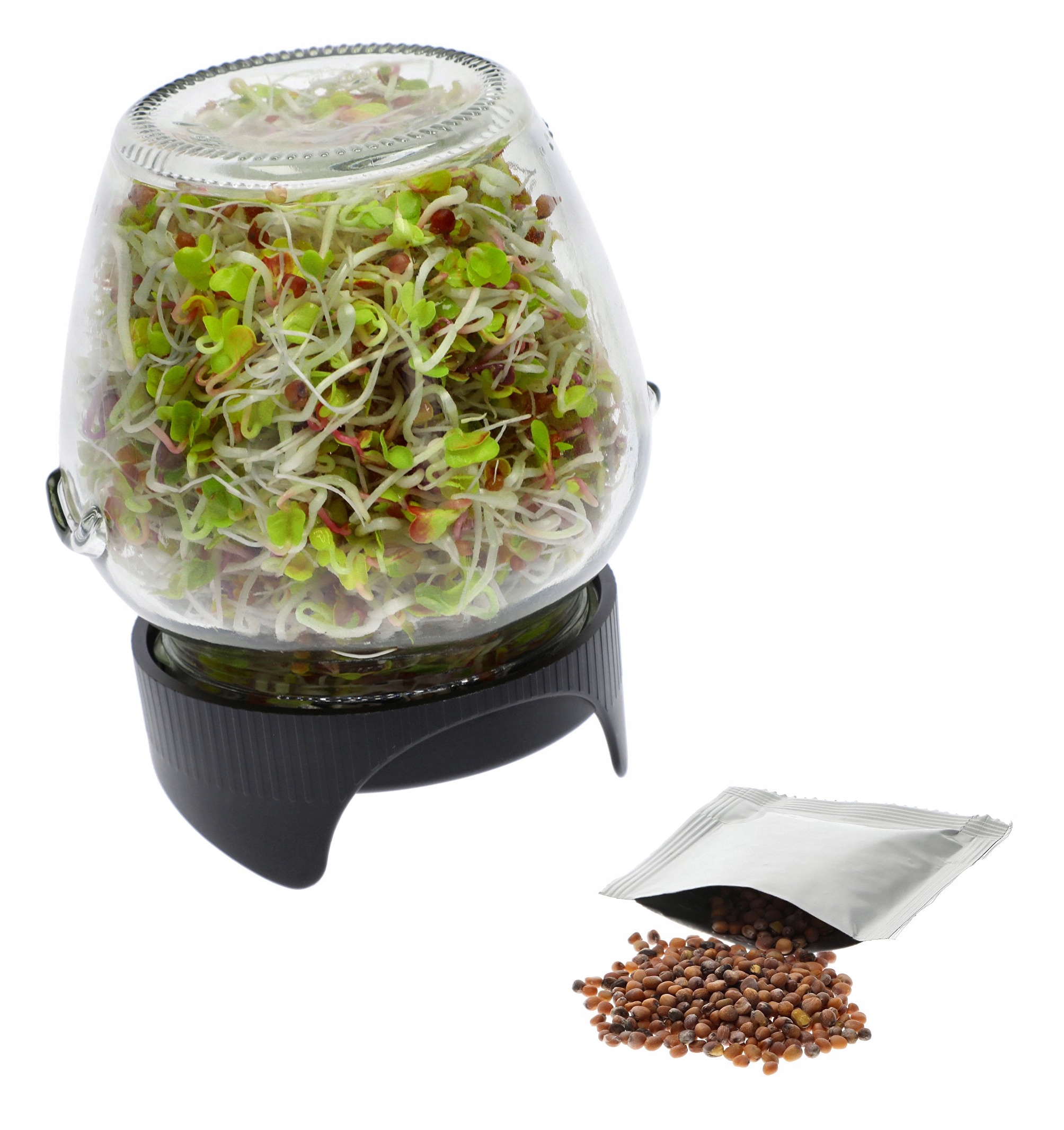 KIEŁKOWNICA SŁOIKOWA TWIST-off BROWIN + NASIONA