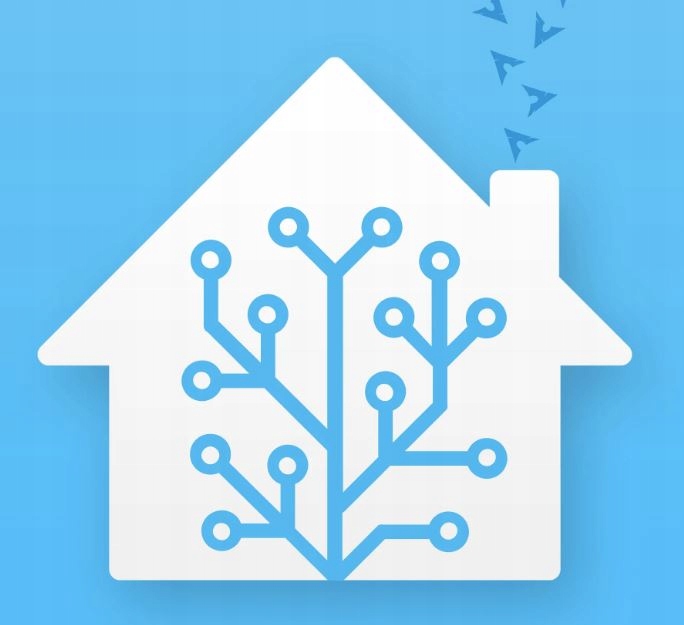 Home Assistant Dell Wyse 5060 + ZigBee CC2652P Seria AMD Embedded G-Series