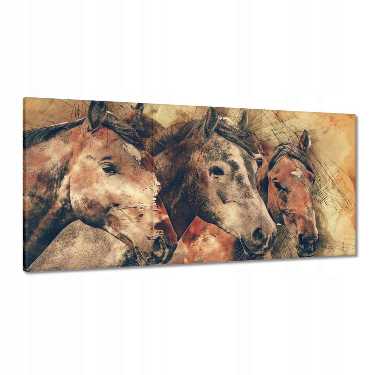 Obrazy 180x90 Konské hlavy Hlavy koní