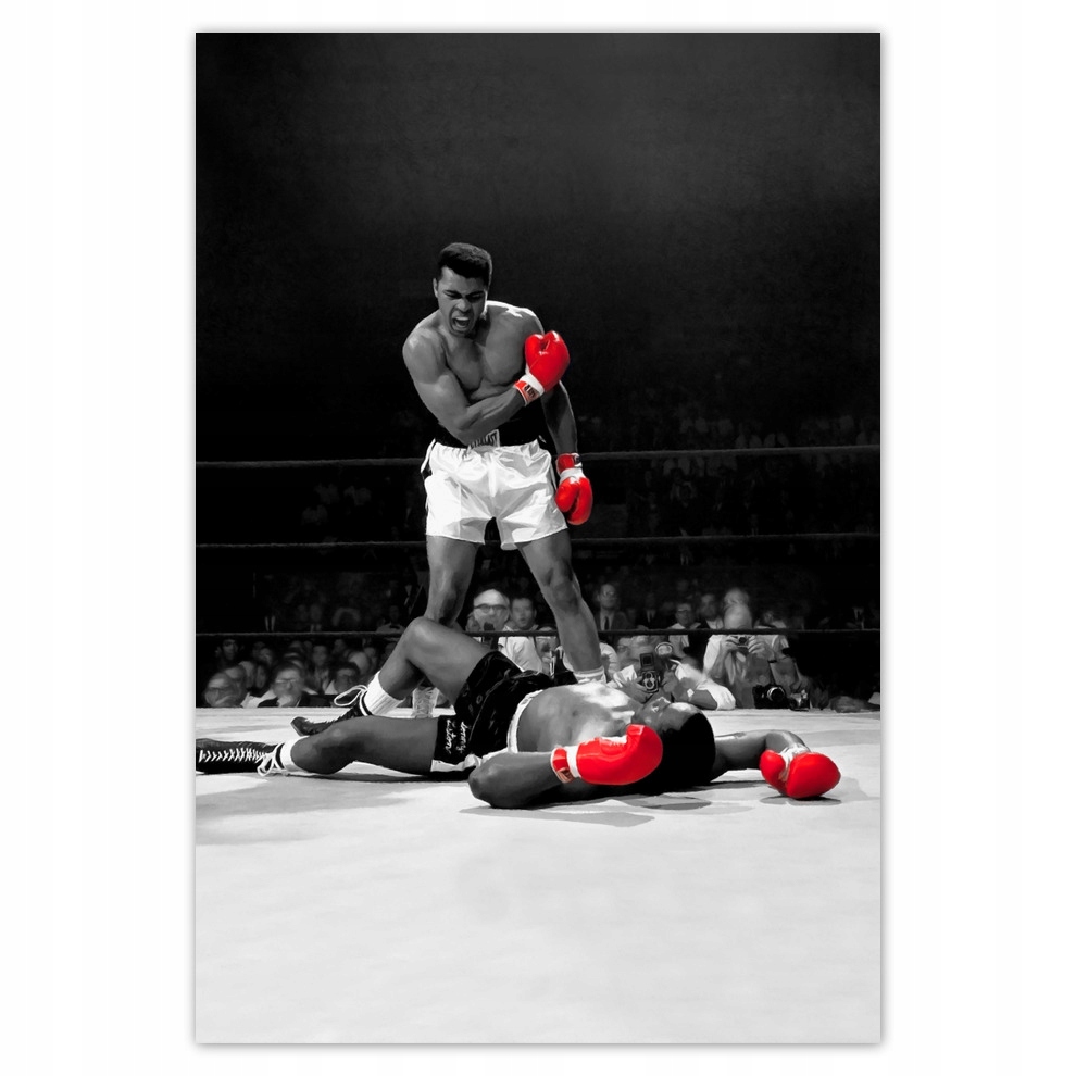 

Naklejki 125x185 Muhhamad Ali Bokser