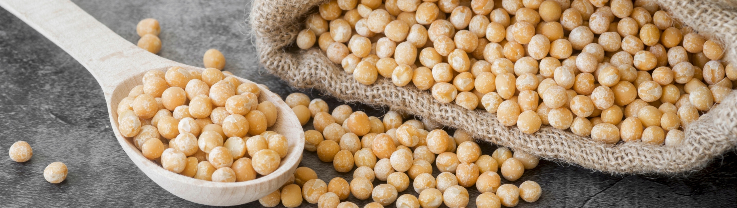 Puszka CIECIERZYCA 2600g CIECIORKA Cechy dodatkowe brak