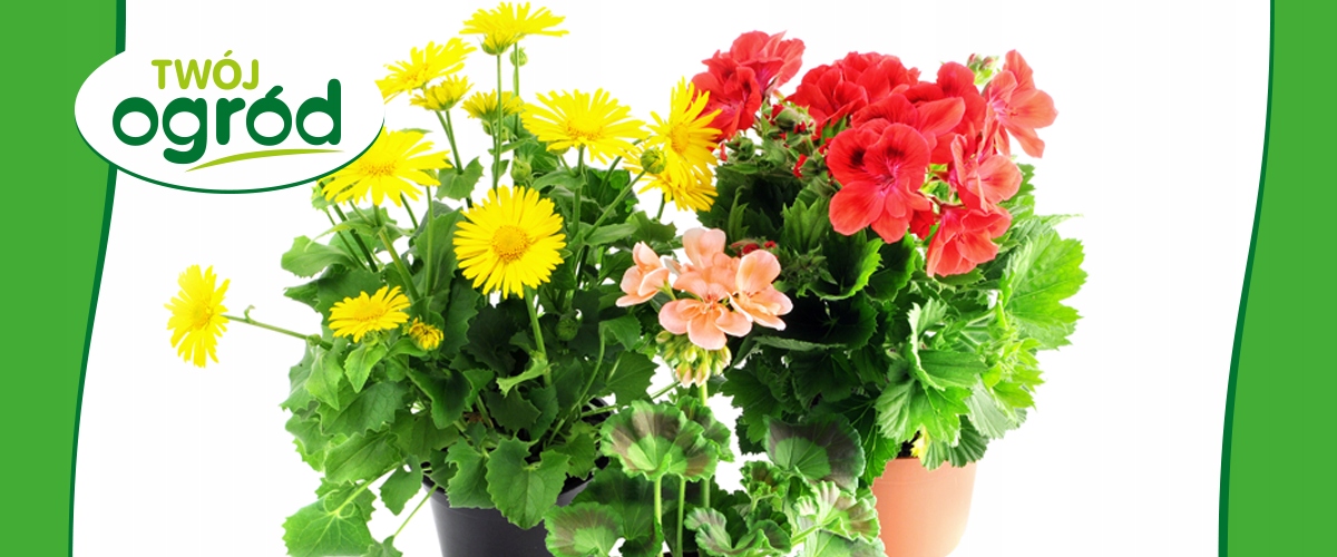 NAWÓZ DO KWIATÓW ROŚLIN KWITNĄCYCH 100G Pojemność 100 l