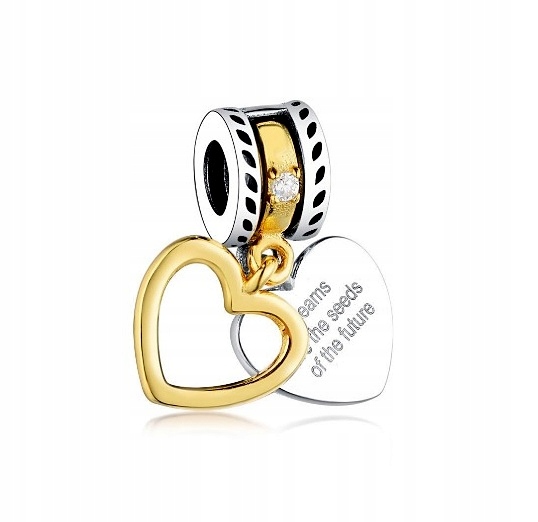 

Charms Marzenia Przyszłości do Pandora Srebro